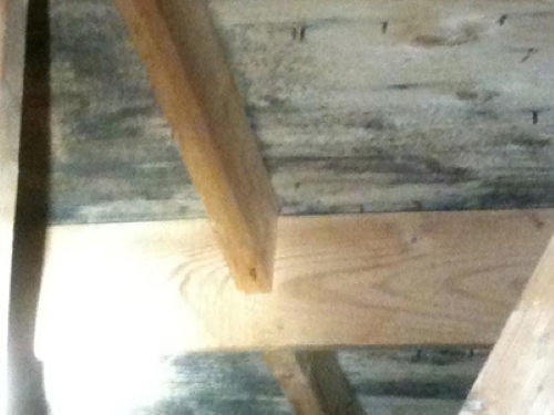 More of what appears to be black mold. Again,<br>we definitely want to call in a mold specialist.