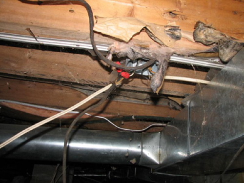 How important is it to inspect crawlspaces? Very important<br>- to check water pipes, drains, electrical, wood and beam<br>supports and presence of moisture.